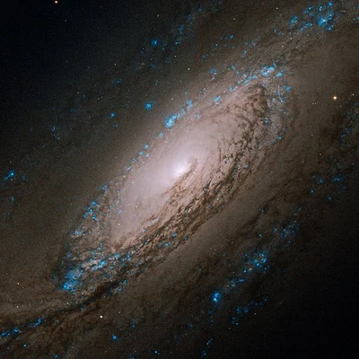 Bild von NGC 5005
