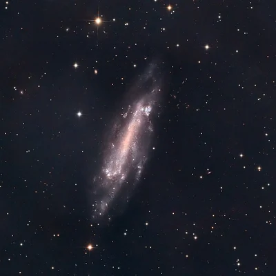 Bild von NGC 4236