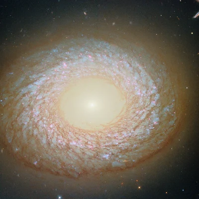 Bild von NGC 2775
