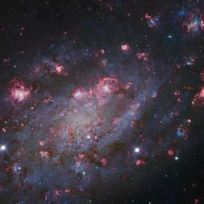 Bild von NGC 2403