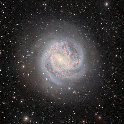 Bild von M83